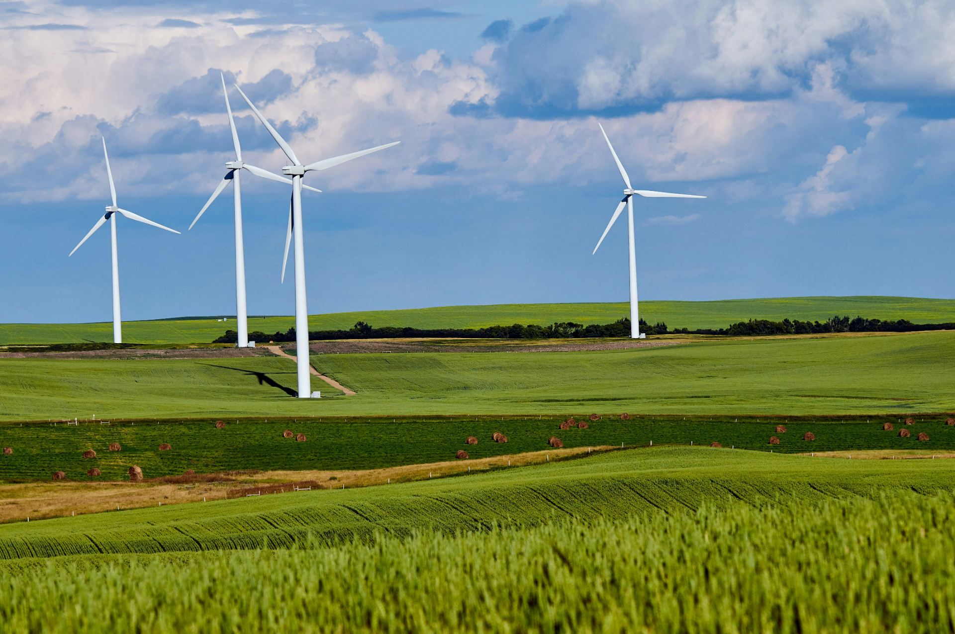 Aerogeneradores en un paisaje verde